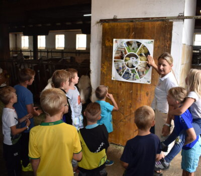 Landwirtschaft im Jahreskreis