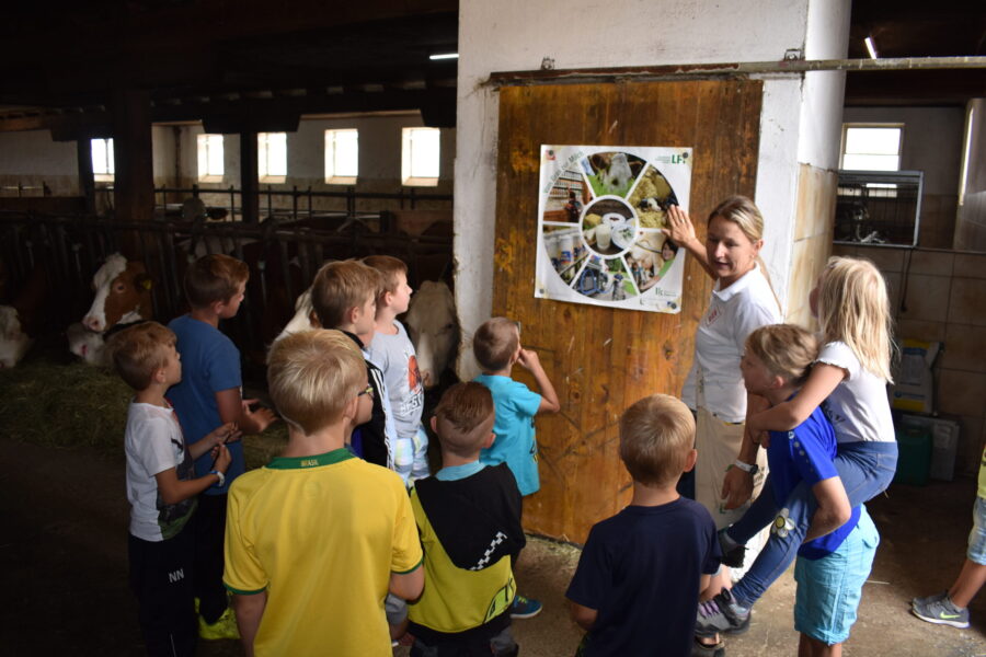 Landwirtschaft im Jahreskreis